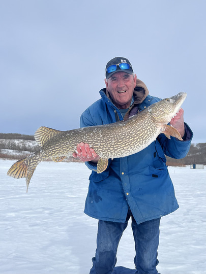 Grand brochet