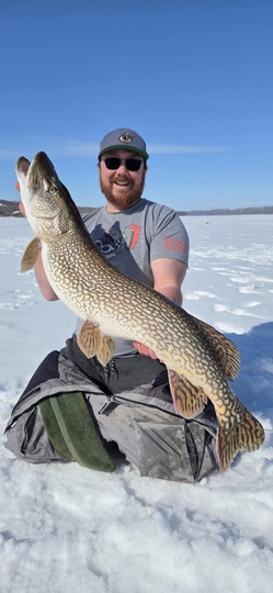 Grand brochet