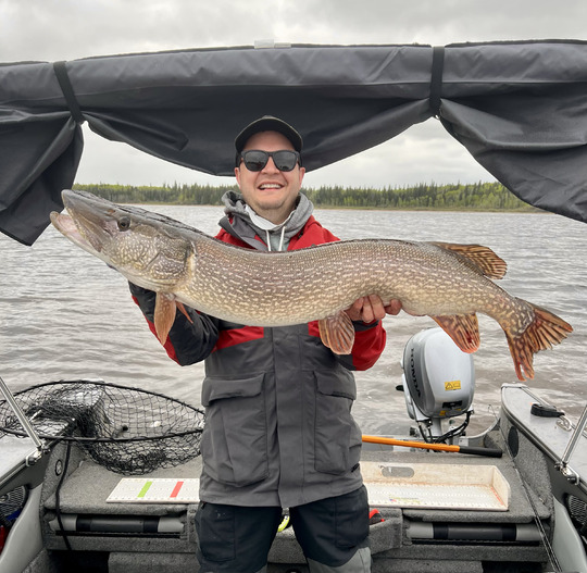 Grand brochet