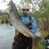Photo de profil de Barry Dahl