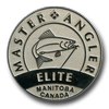 Médaille de Platine